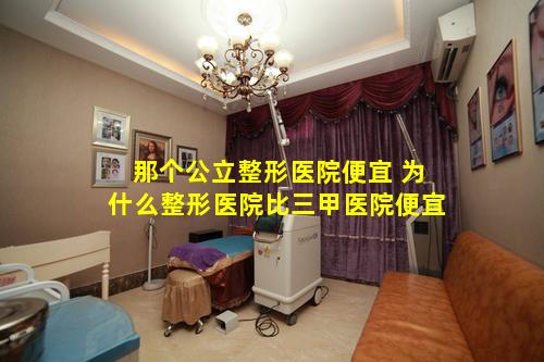 那个公立整形医院便宜 为什么整形医院比三甲医院便宜